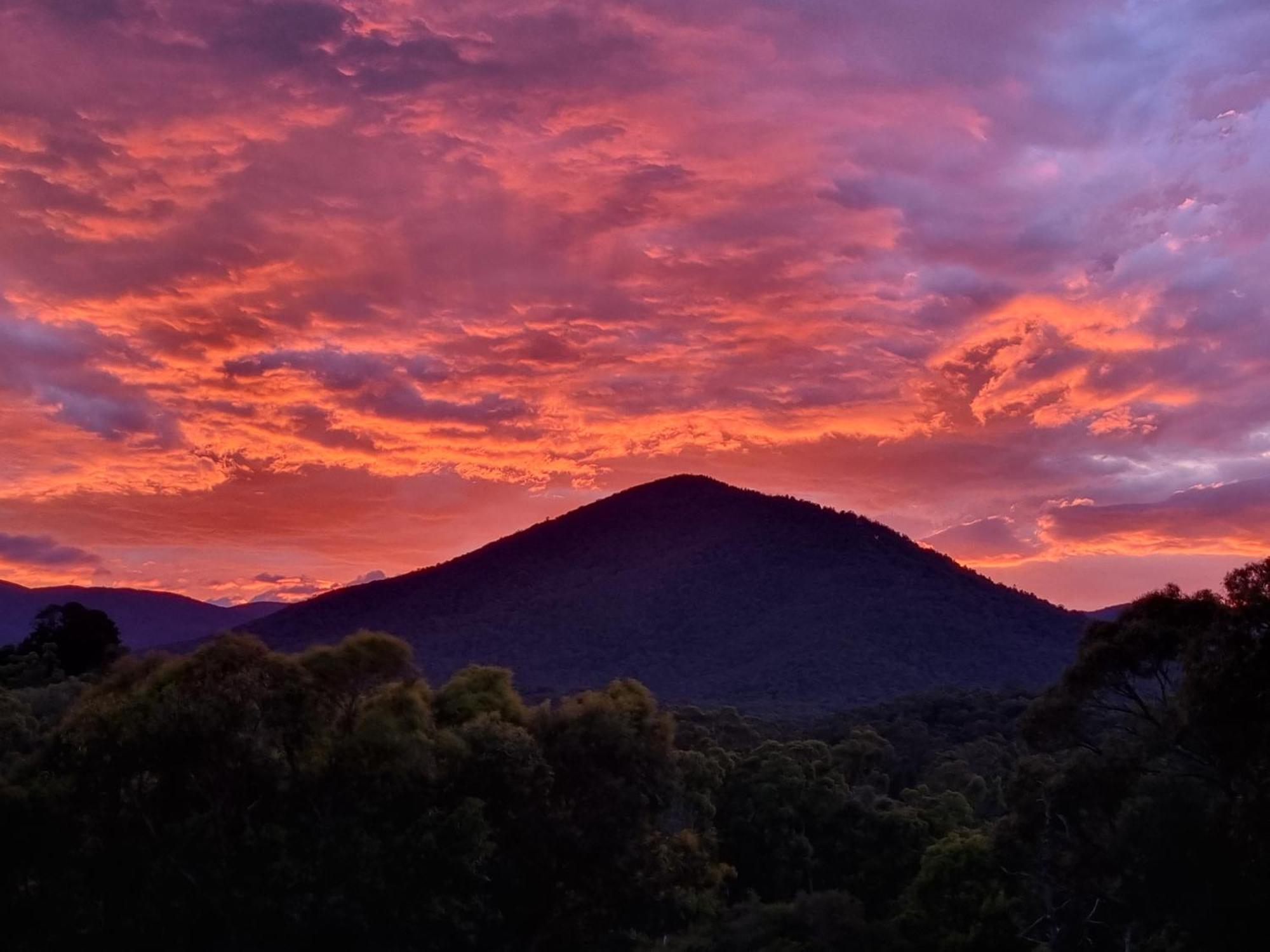 Rosebank Guesthouse Healesville Buitenkant foto